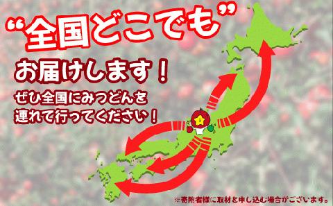 飯綱町PRキャラクター みつどん 旬のりんご 家庭用 5kg 全国お届け便 あたなのお家にお届けします！ 信州 いいづな ゆるキャラ 長野県 飯綱町 [1774]