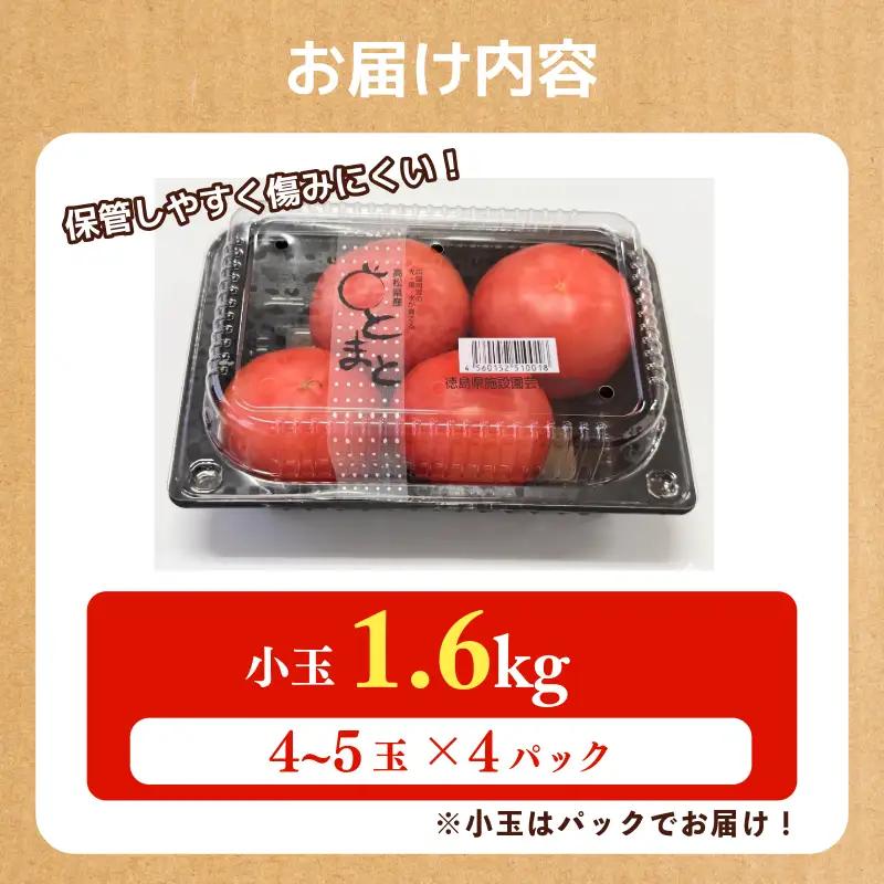 トマト 4パック 1.6kg 小玉トマト