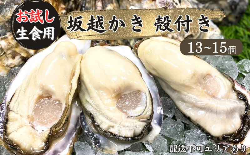 
牡蠣 生食用 お試し 坂越かき 殻付き 13～15個[ 生牡蠣 真牡蠣 かき カキ 一人暮し 冬牡蠣 ]
