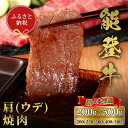 【ふるさと納税】選べる容量【和牛セレブ】能登牛 牛肩（ウデ）ロース 焼肉 （200g〜500g）/［石川県が認定の能登牛］[復興支援] 石川県 能登 穴水町 黒毛和牛 銘柄牛 能登牛 牛肉 アウトドア キャンプ ステーキ ギフト【送料無料】