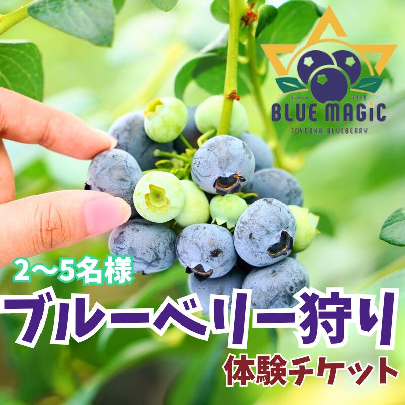 【ふるさと納税】 ブルーベリー狩り チケット 2〜5名様 千葉県 銚子市 ふるさと納税 ブルーベリー フルーツ狩り フルーツ 果物狩り 果物 チケット ブルーベリー狩り ブルーベリー摘み 6月 7月 8月 AGRIMOVADO アグリモバード