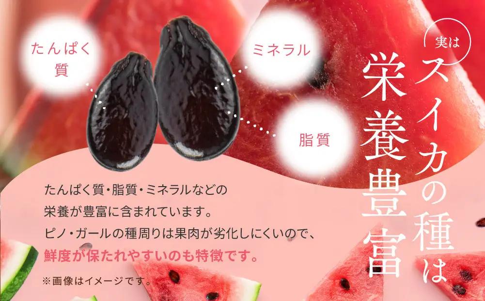 【先行予約】種ごと食べられる！小玉スイカ ピノ・ガール 2玉（1玉2kg前後×2玉）※着日指定不可 ※離島への配送不可 スイカ