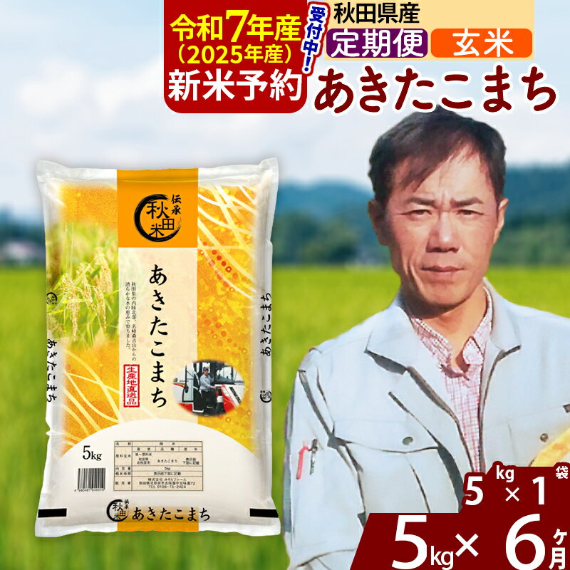 【ふるさと納税】※令和7年産 新米予約※《定期便6ヶ月》秋田県産 あきたこまち 5kg【玄米】(5kg小分け袋) 2025年産 お届け周期調整可能 隔月に調整OK お米 みそらファーム