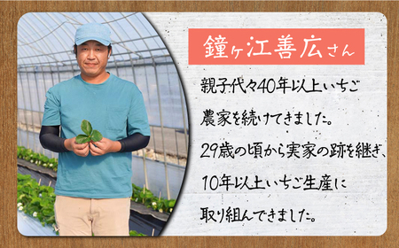 【先行予約】【農家直送】いちごに想いをのせて「恋みのり」220g×2パック【鐘ヶ江農園】[IBH001]