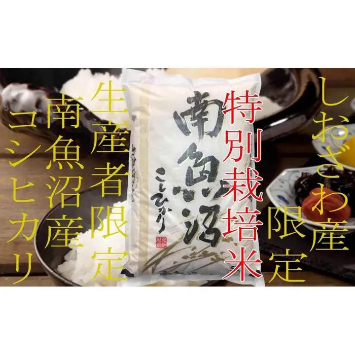 【令和7年】【定期便6kg×9ヶ月】特別栽培 しおざわ産限定 生産者限定 南魚沼産コシヒカリ|定期便 