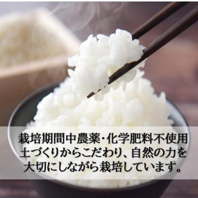 ふるさと納税 小矢部市 栽培期間中農薬・化学肥料不使用　こしひかり　玄米 5kg×2袋(10kg) |  | 01