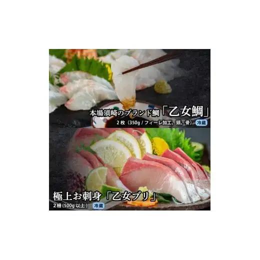 【 刺身 】 刺身定期便3ヶ月