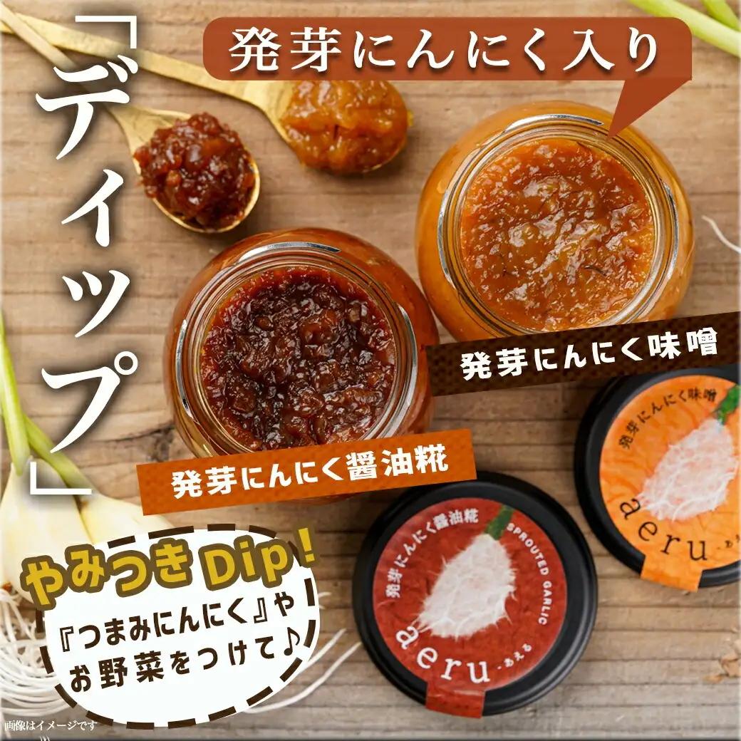 スーパーフード!つまみにんにく&ディップセット ≪みやこんじょ特急便≫_AA-C902_(都城市) 発芽にんにく味噌/発芽にんにく醤油糀 国産にんにく レシピ入り にんにく特有のにおい残りが少ない 冷