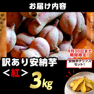 n385 ＜期間・数量限定セット！先行予約受付中！2025年10月中旬頃から12月中の発送予定＞《訳あり》種子島産 安納芋＜紅＞(3kg)＆安納芋チップス1袋セット 国産 安納芋 紅 種子島 芋 イモ