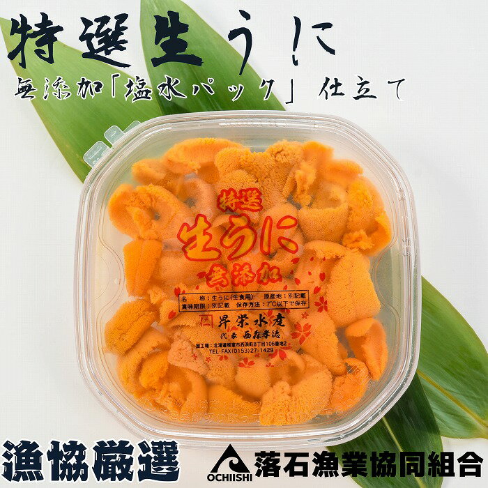 【ふるさと納税】無添加エゾバフンウニ塩水パック100g×2P F-20011
