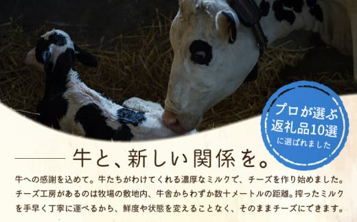 竹下牧場 takeshita farm【6ヶ月配送】マリボーチーズセット 計510g