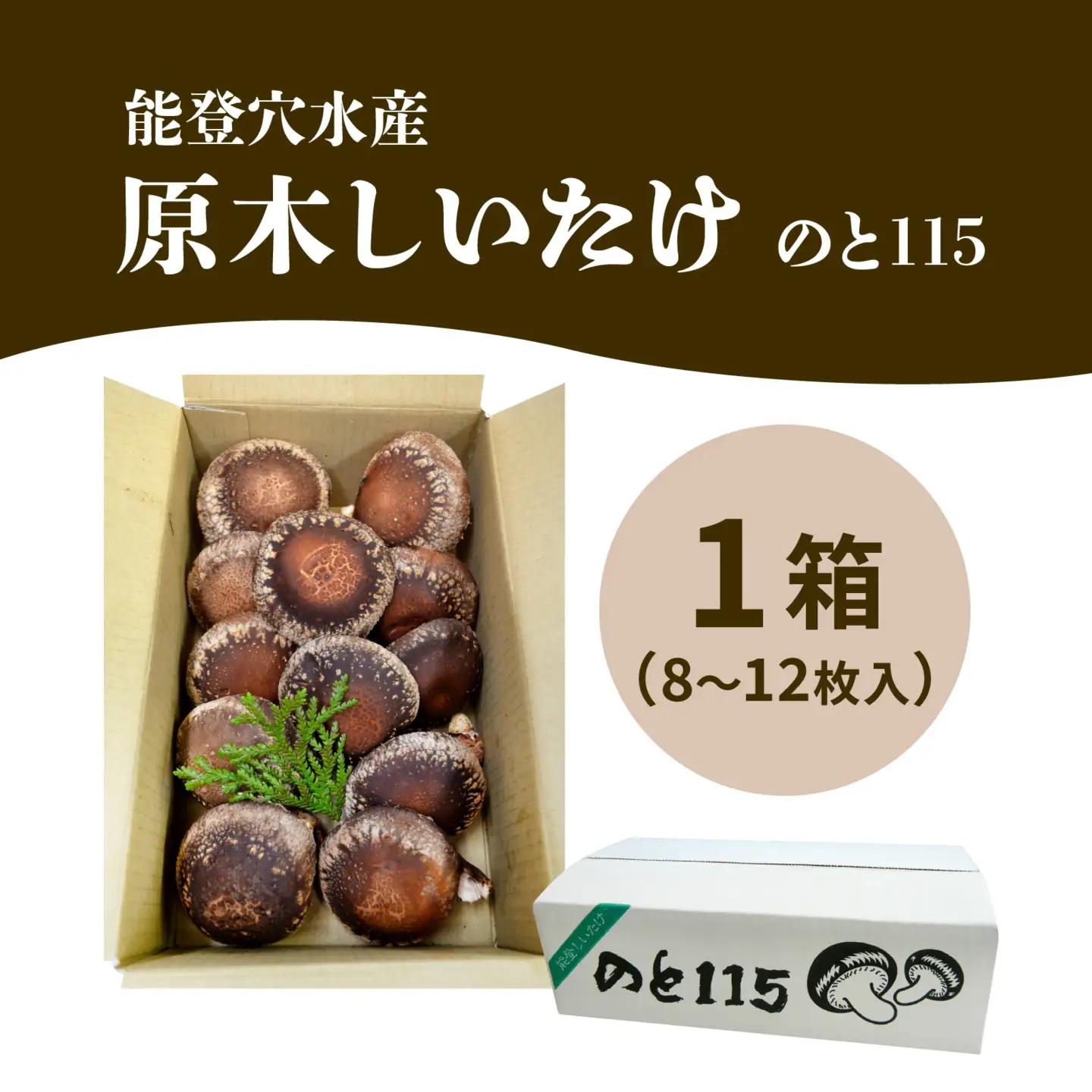 【先行予約】奥能登 穴水産 原木しいたけ (のと115) 8～12枚 /  しいたけ