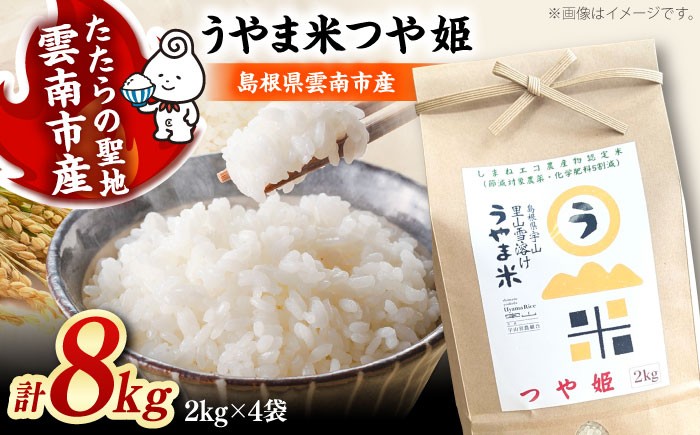 
                  お米 神話の里/吉田町「うやま米」つや姫 8kg（2kg×4）白米 精米 コメ おこめ お米 つやひめ おすすめ 人気 米 ごはん ご飯 食卓 主食 ブランド米 お取り寄せ グルメ ご当地米 家族 ファミリー 一人暮らし 便利 8キロ おいしい ごはんソムリエ 種もみ ミネラル 国産 新生活 お弁当 朝ごはん 朝食 昼食 ご当地 島根県雲南市/有限会社藤本米穀店 [AIDB087]
                