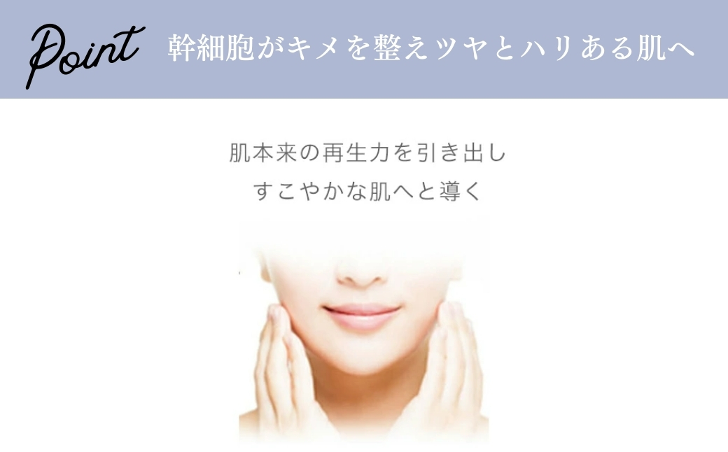 SBC MEDISPA ステムミルク 80ml | SBC 湘南美容 湘南美容クリニック 乳液 ミルク 埼玉県 上尾市