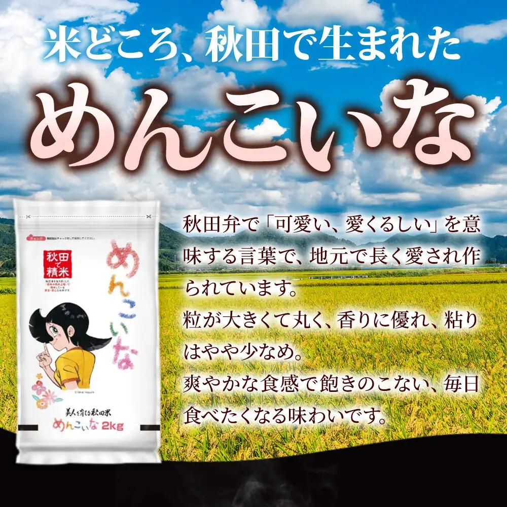 米《定期便5ヶ月》ひとめぼれ・めんこいな【白米（一般精米）】 米どころ秋田県産 令和8年産 精米 4kg（2kg×2袋）
