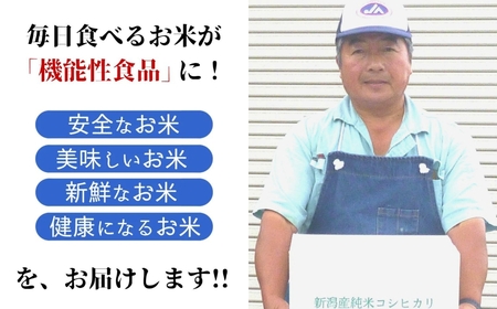 特別栽培米コシヒカリ 白米 10kg 新潟県産 令和7年産 [佐藤農産有機センター]【018S050】