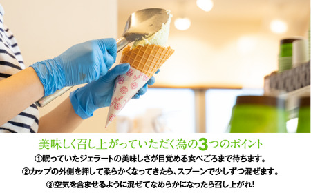 秘伝の陣太刀 ずんだ ジェラート 6個セット