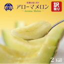 【ふるさと納税】【訳あり】アローマメロン 2玉入【通年出荷】【配送不可地域：離島・北海道・沖縄県】【1170118】