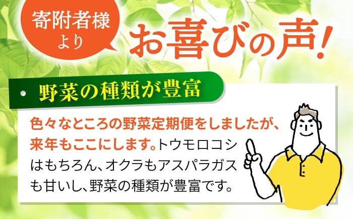 野菜 フルーツ 果物 定期便 旬 新鮮 詰合せ 野菜セット フルーツ定期便 
