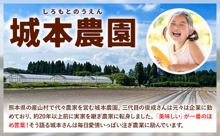 【ふるなびWEEK対象】とうもろこし 15本 城本農園