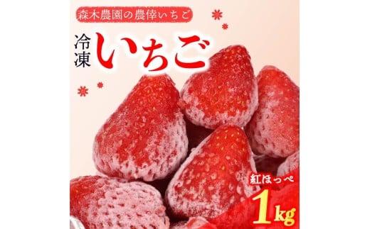 冷凍 いちご 苺 1kg 完熟 紅ほっぺ ヘタ取り いちご 静岡 限定 苺 冷凍いちご 果物 スイーツ いちご 紅ほっぺ 牧之原市 デザート フルーツ スイーツ アイス ジャム シャーベット ベリー 氷菓 冷凍 甘い オススメ ギフト 人気 紅ほっぺ 牧之原市 森木農園