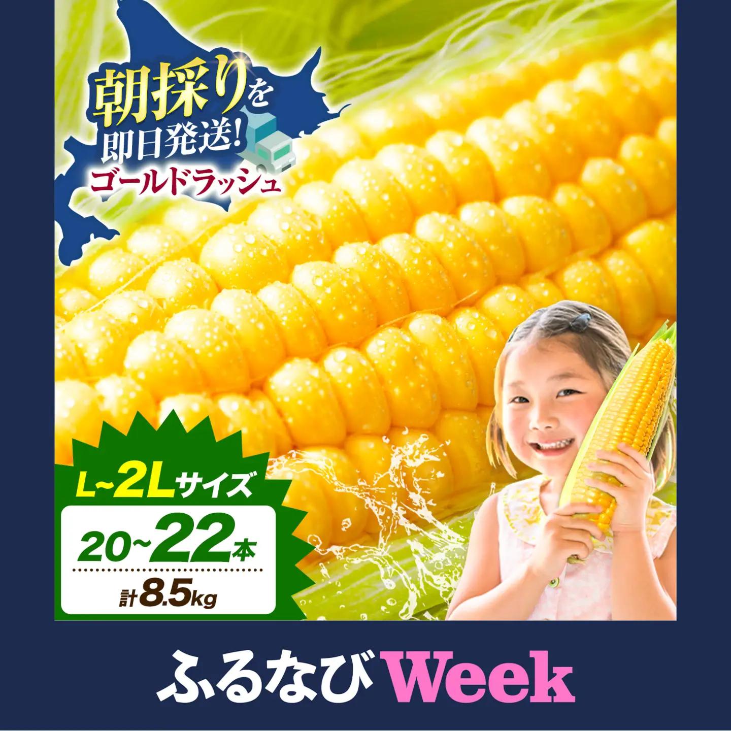 【ふるなびWEEK対象】とうもろこし「 ゴールドラッシュ 」 8.5kg 以上 北海道 名寄 スイートコーン