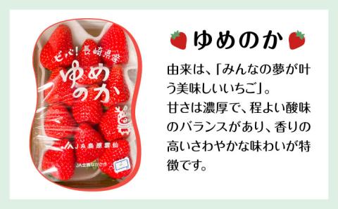 【10/28寄附金額見直し(値上げ)予定】【2025年1月～発送】 いちご 2種類 食べ比べ 約250g×4P / ゆめのか こいみのり イチゴ 苺 果物 フルーツ / 南島原市 / JA島原雲仙東南