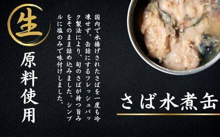 国産 さば いわし 缶詰 8缶(4種×2缶) 缶詰 缶詰 缶詰 缶詰 缶詰 観光協会