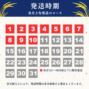 【2026年11月上旬】《先行予約》新米 令和8年産 はえぬき 5kg（5kg×1袋） 清流寒河江川育ち 山形産はえぬき 山形県産 2026年産 精米 5キロ　0115-C-JA007-202611上