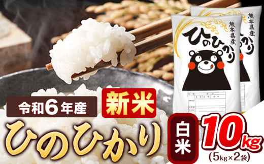 令和6年産 新米 早期先行予約受付中 白米 ひのひかり 10kg 《11月-12月より出荷予定》令和6年産 熊本県産 ふるさと納税 精米 ひの 米 こめ ふるさとのうぜい ヒノヒカリ コメ お米 おこめ