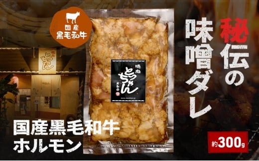 秘伝の味噌ダレ国産黒毛和牛ホルモン約300g | 牛肉 和牛 焼肉 BBQ バーベキュー アウトドア 料理 国産  [№5385-1206]