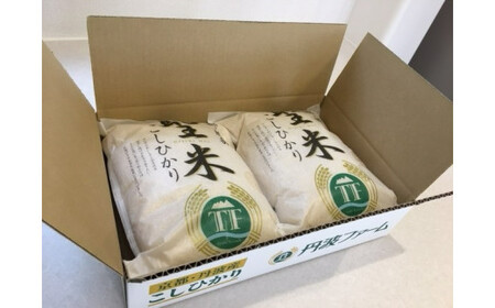 【定期便12回・毎月1日お届け】京都府産コシヒカリ 白米 10kg×12回 定期便 お米 米 白米 精米 こしひかり 国産 京都 綾部