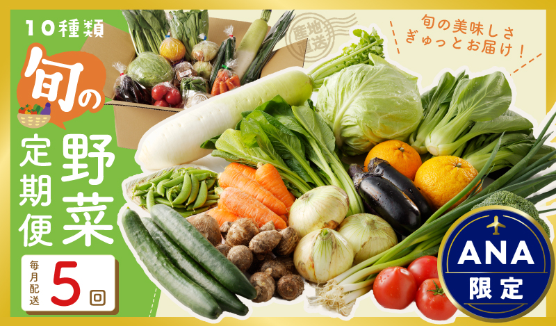 【ANA限定】 10種類の新鮮野菜 定期便 全5回 詰め合わせ 国産 冷蔵発送【毎月配送コース】 099Z313