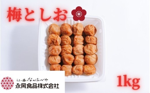 
                  紀州南高梅使用 梅と塩 白干し 1kg 塩分約19％ 【ngao023】
                