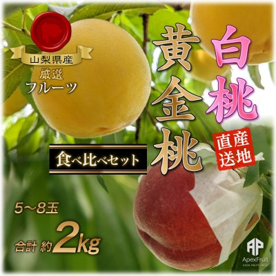 【2026年先行予約】山梨市産　白桃と黄金桃の食べ比べセット　約2kg(5～8玉)【配送不可地域：離島】