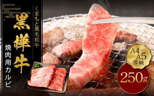 
くまもと黒毛和牛 黒樺牛 A4~A5等級 焼肉用 カルビ 250g
