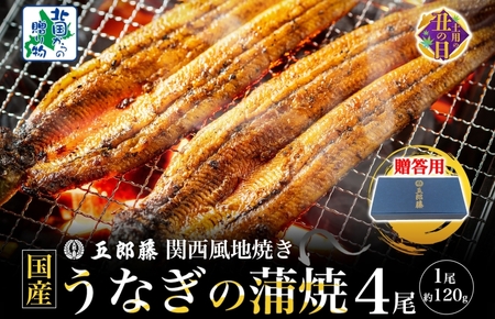 【7/19土用の丑の日】五郎藤 関西風地焼き 国産有頭旨鰻 120g×4尾 計約480g 【贈答用 うなぎ ウナギ 蒲焼き 炭火】