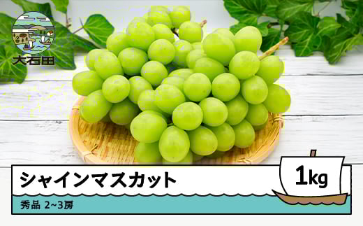 【先行予約】 ぶどう シャインマスカット 約1kg 2~3房 山形県産 2026年産 令和8年産 フルーツ 果実 ry-busmx1000