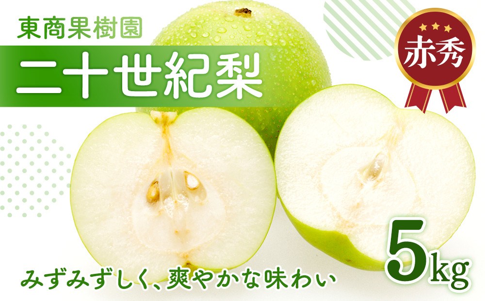 東商果樹園 二十世紀梨 (赤秀) 5kg【8月下旬以降お届け】