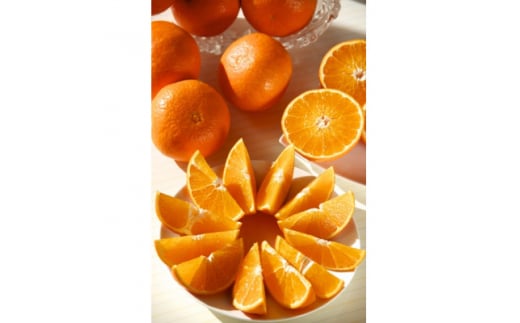  柑橘 の鬼たちがつくる 八幡浜産 ・鬼 マドンナ (2.7kg～3.0kg)[ 傷あり ]＜D56-33＞_ 蜜柑 ミカン みかん まどんな フルーツ 果物 くだもの 人気 美味しい ふるさと 柑橘類 【1360891】
