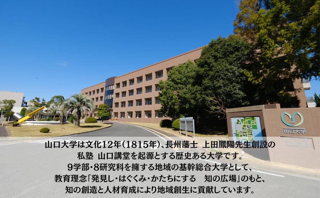 【返礼品なし】 山口大学工学部への人材育成支援補助金 寄附額 5,000円 | 山口県 宇部市 寄附額：  5,000円