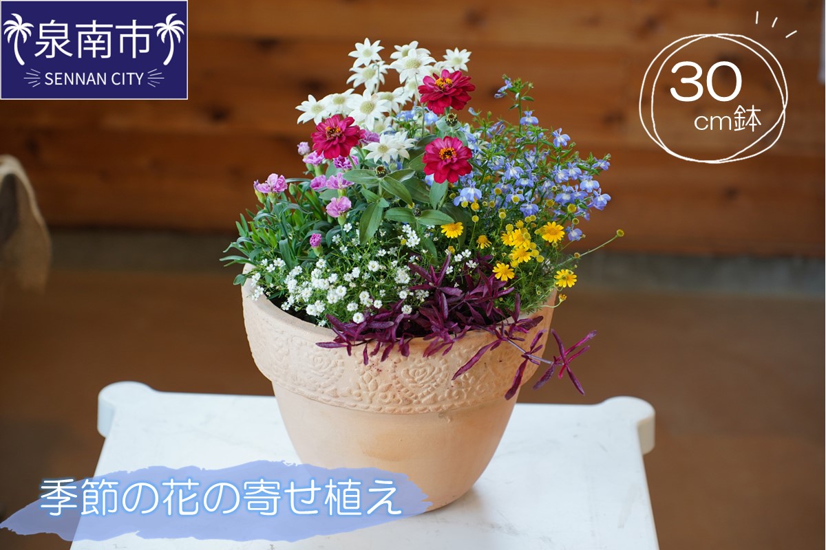 季節の花の寄せ植え 30cm【005D-007】