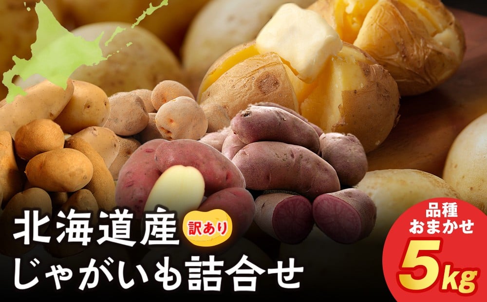 
            北海道産 じゃがいも 訳あり 5kg"お楽しみランダム"きたあかり メークイン ノーザンルビー レッドムーン 北海黄金
          