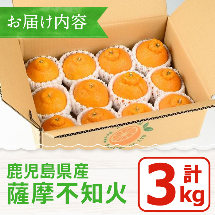 No.146 ＜先行予約受付中！2026年1月中旬～2月下旬までの間に発送＞《期間・数量限定》鹿児島県産！薩摩不知火(3kg) みかん 不知火 柑橘 フルーツ 果実 鹿児島 ギフト 贈答【黒川農園】
