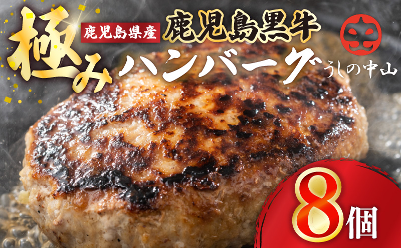 1104 鹿児島県産『鹿児島黒牛』極めたハンバーグ8個　KN050-001-03