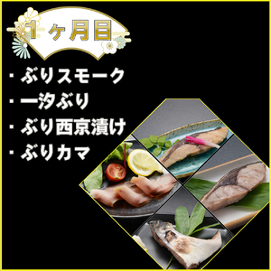 【3回定期便】冬の味覚氷見天然ぶり全部盛り ＜2025年12月以降順次発送＞  寒ぶり 限定 鰤 富山県 氷見市