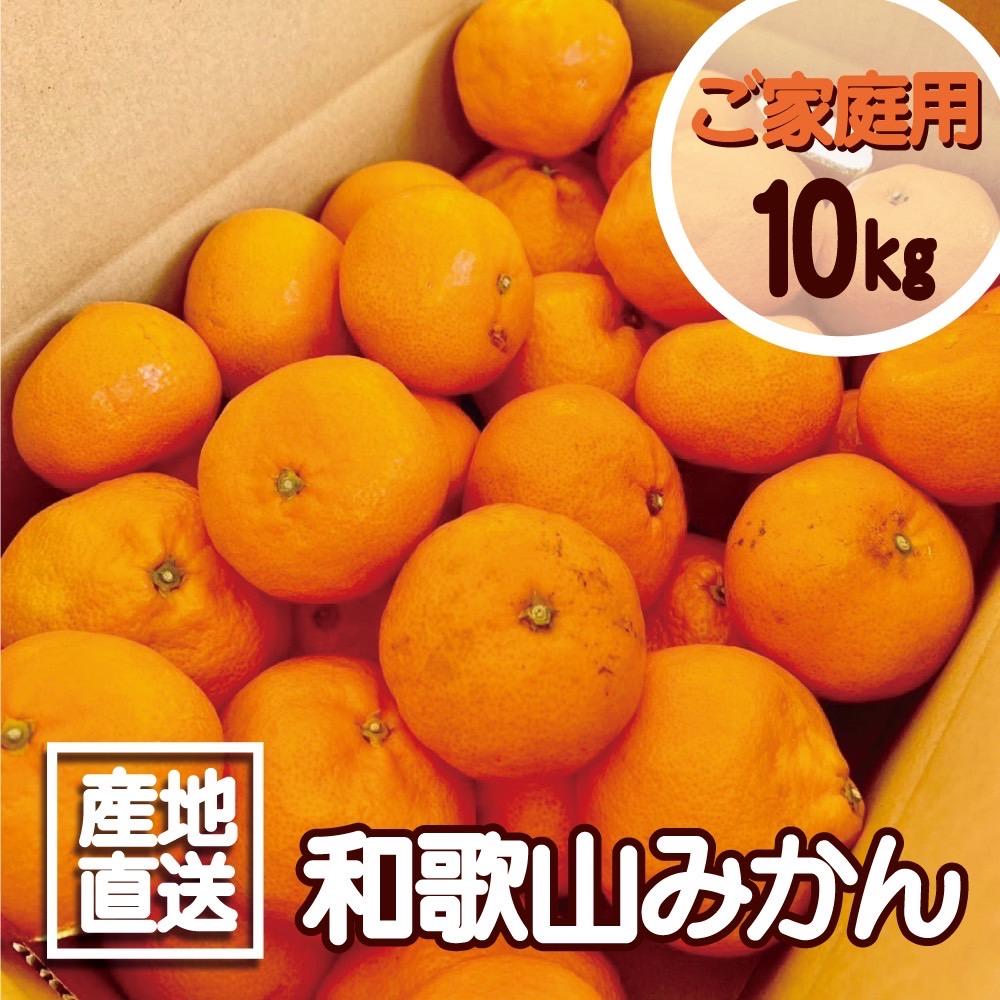【ふるさと納税】【訳あり】和歌山みかん約9.5kg+補償分約500g サイズ混合 11月より順次発送 訳ありみかん 【red1】 | みかん 蜜柑 フルーツ 果物 くだもの 食品 人気 おすすめ 送料無料