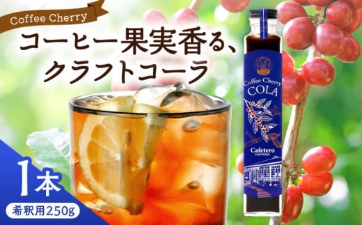 カフェテーロ葉山　コーヒーチェリーコーラ　250g×1本 / コーラ エナジードリンク 酸味 コーヒー  神奈川県 葉山町 クラフトコーラ 天然 ドリンク 炭酸【合同会社エンディレクト】 [ASBM001]