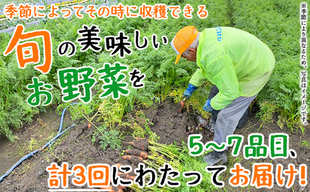 ＜せいよのうまいもんセット 3回定期便＞ 西予市産 愛媛県産 国産 旬 季節の野菜 やさい おまかせ 詰め合わせ 5～7品目 お楽しみ 特産品 百姓百品株式会社 愛媛県 西予市 【冷蔵】『1か月以内に
