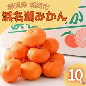 【2024年12月発送】浜名湖の「普通温州みかん」10kg【1537443】